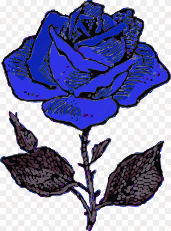 rose - blue rose drawing