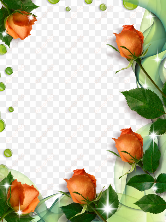 rose border - bordes y marcos para portadas con flores