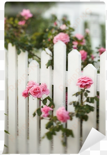 rose bush growing over white picket fence - three down the aisle