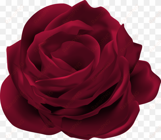 rose flower png