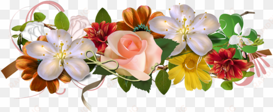 rose flowers beauty love decoration floral - new beautiful hd flowers and design