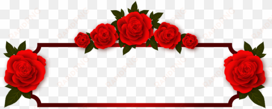 rose flowers plate frame photo frame red transpa background - odia images good morning