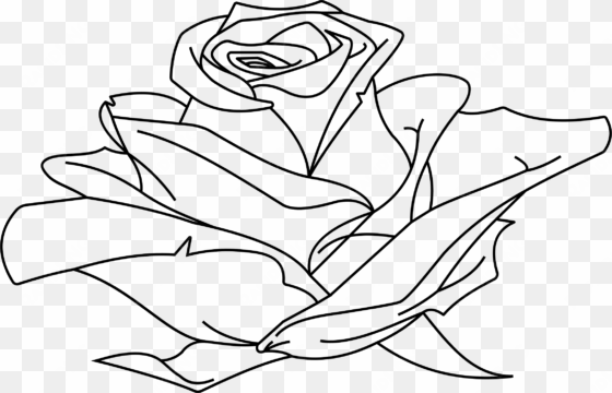 rose line drawing at getdrawings - rose line drawing png
