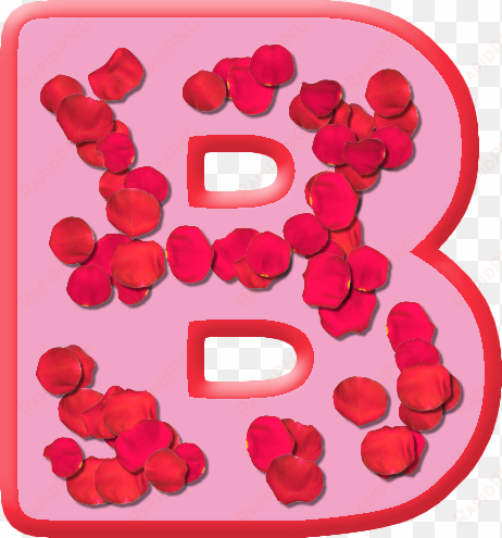 rose petals letter b