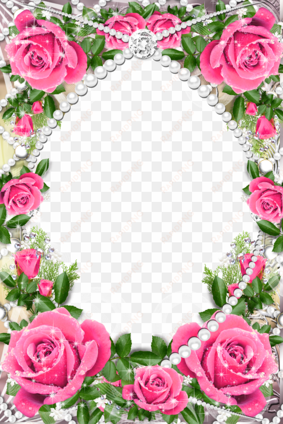 rose photo frame wallpaper - pink roses borders and frames