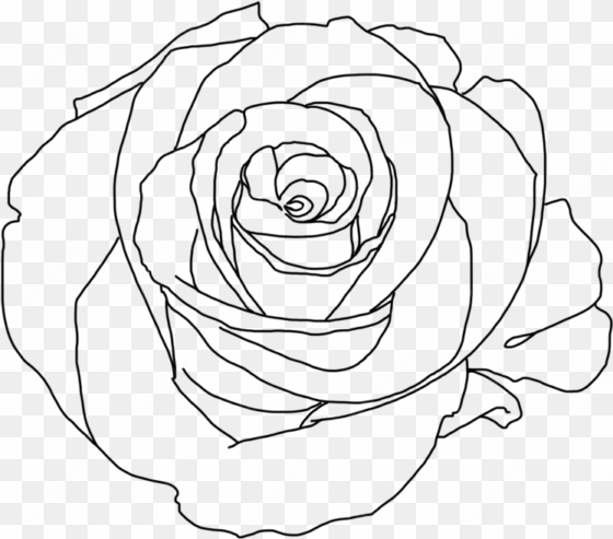 rose png tumblr download - minimalist rose aesthetic art