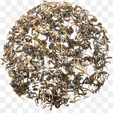 rosemary green - tea