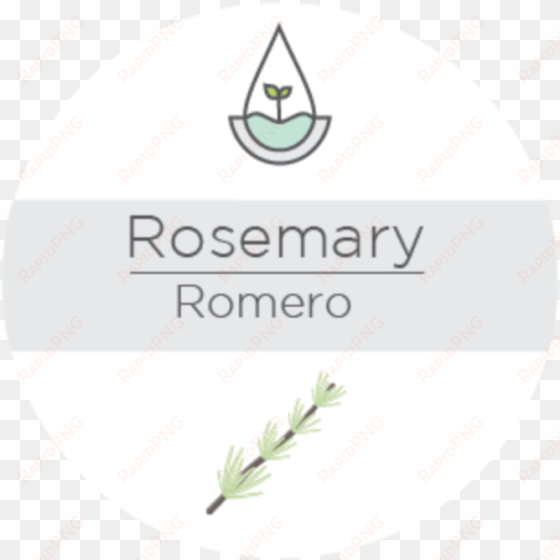 Rosemary - Rosemary - Tea transparent png image
