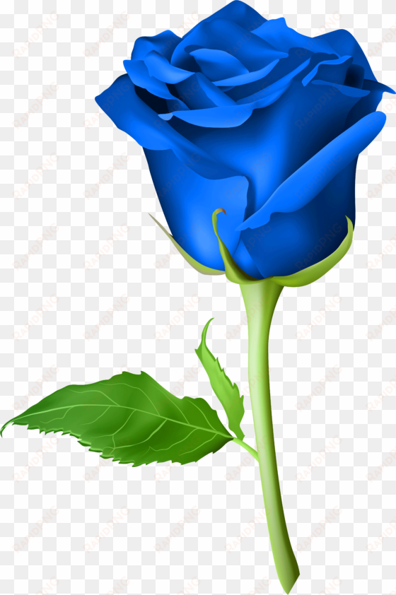 roses are blue - blue rose png hd