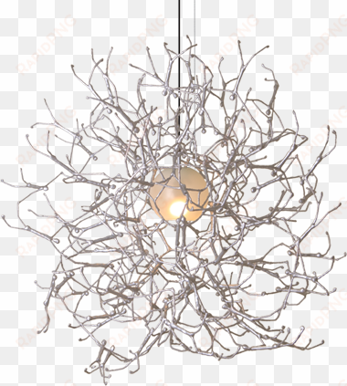 round hanging lamp - hanging plant png transparent