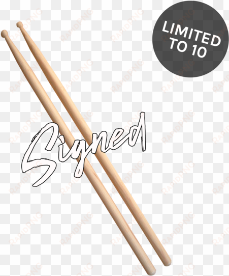 roy berry signed drumsticks - tama - 5a sticks o5a-s skull, natural, black print