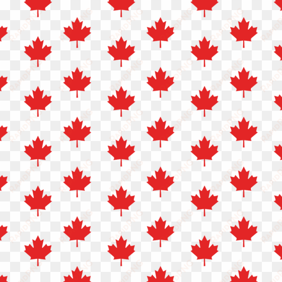 Royalty Free Black And White Maple Leaf Leaf Canadian - Free Maple Leaf Pattern transparent png image