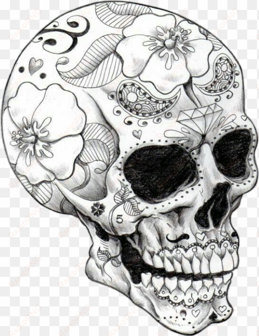royalty free draw tattoo blackandwhite mexicanskull - sugar skull drawings
