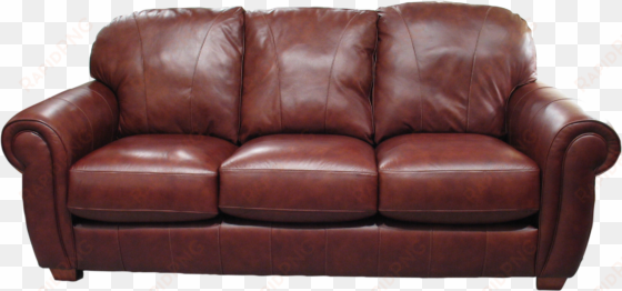 royalty free library sofa image purepng free transparent - funny sofa