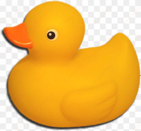 rubber-duck - rubber duck