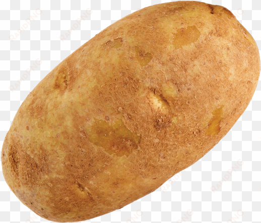 russet potato - baked potato transparent