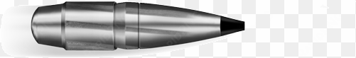 rws speed tip pro bullet, partial fragmentation, stage - .338 lapua magnum geschoss