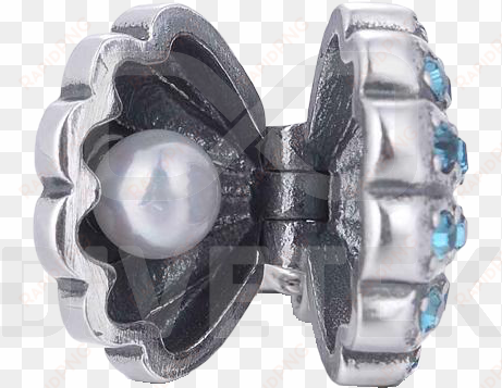 s361 sea shell pearl - bracelet