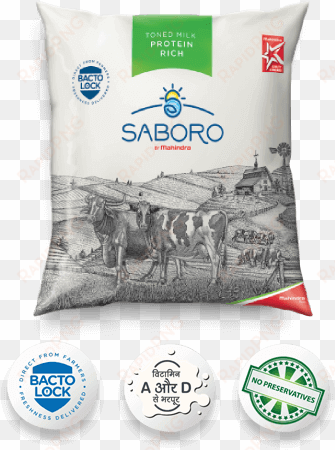 saboro milk - factory