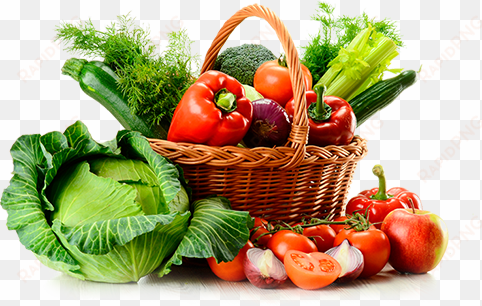 sabzigadi story - organic cookbook: healthy and delicious food recipes