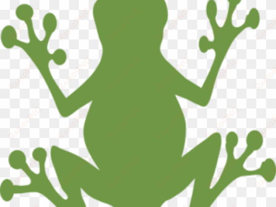 sad frog cliparts - outline frog clip art