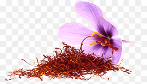 saffron flower png - vaadi herbals shower gel, luxurious saffron, 300 ml