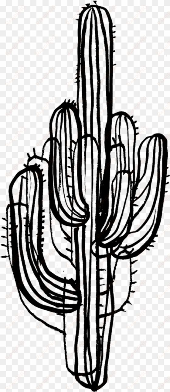 saguaro cactus - cactus black and white design