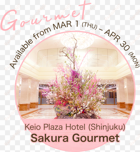 sakura goods sakura goods - gourmet