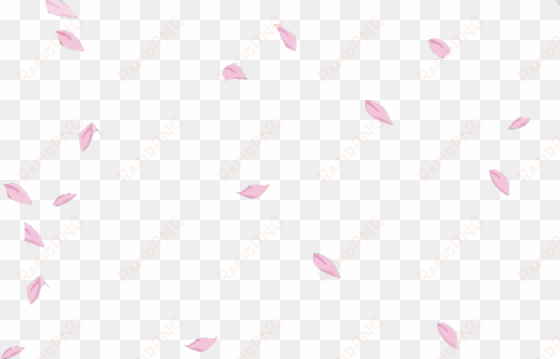 sakura petals flower floral falling floating pink - sakura petals