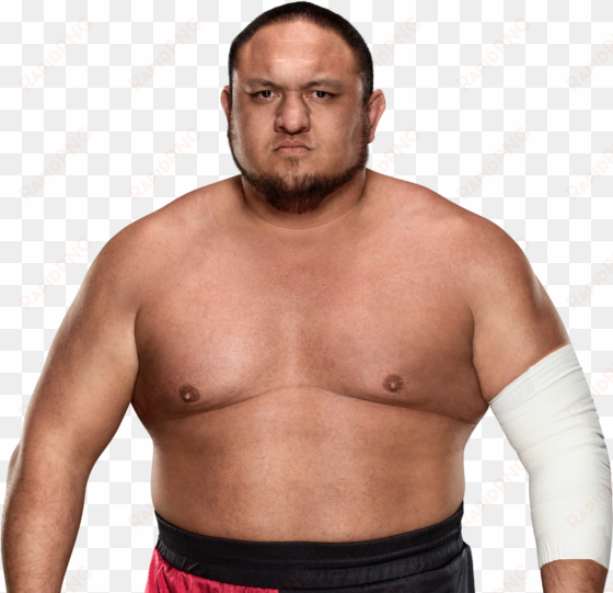 samoa joe