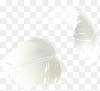 sample product modeling 2 product feathers - darkness