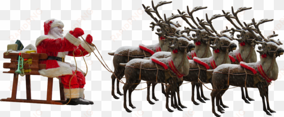 santa claus reindeer