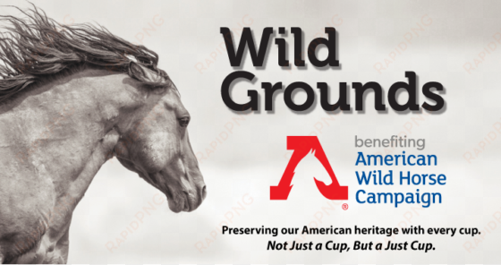 save wild horses - wild horse