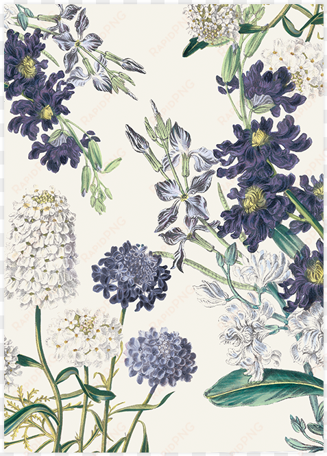 savethedate botanical garden pepperandjoy pattern - posterazzi botanical garden i canvas art - piper ballantyne