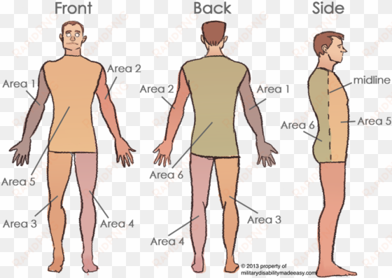 scar areas 2 - body surface area