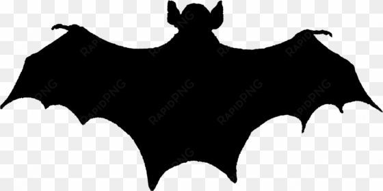 scary halloween bat silhouette images - bat silhouette