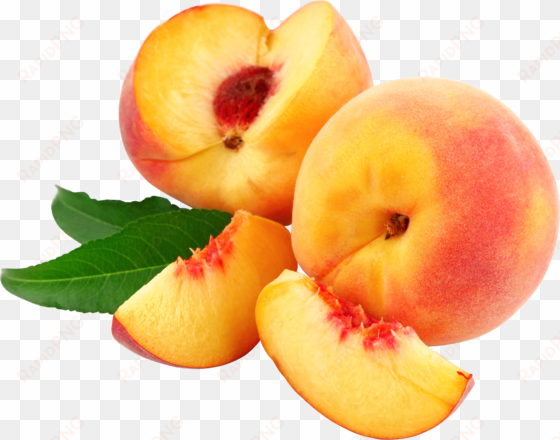 scene of peaches - peach transparent