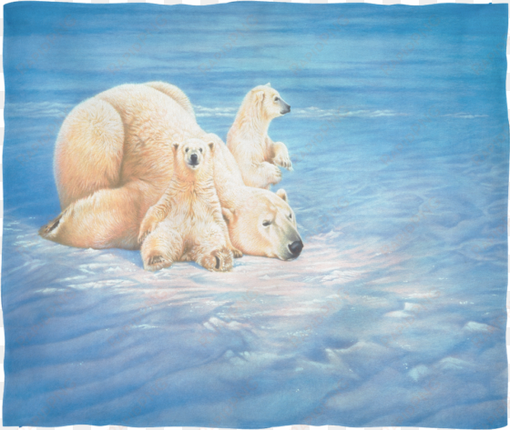 schmidt joh naito polar bears jigsaw (1000 pieces)