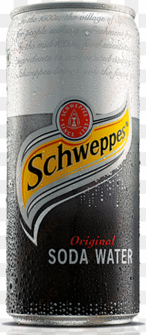 schweppes soda water - schweppes drink, ginger ale, 300ml