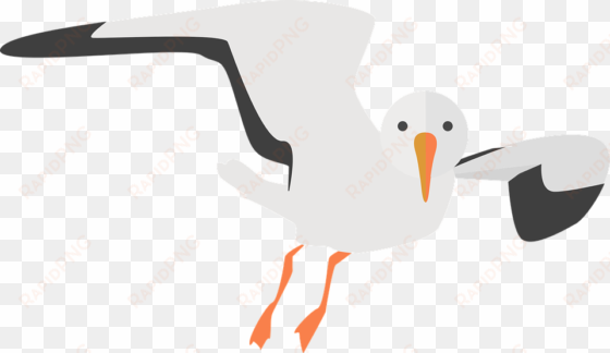 sea-bird clipart - seagull clipart