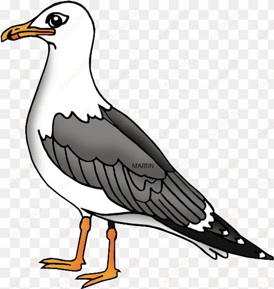 sea bird clipart seagull - sea gull clip art