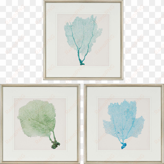 sea fan i pk/3 - bassett mirror company bassett sea fan ii framed art