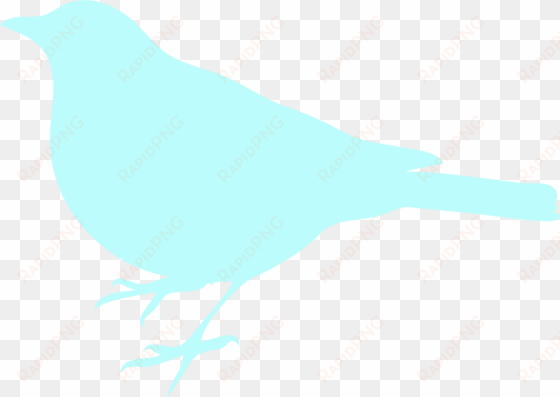 Sea Foam Blue Bird Svg Clip Arts 600 X 425 Px transparent png image