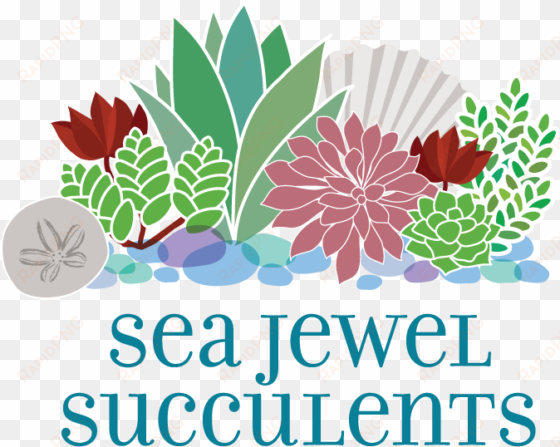 sea jewel succulents & flora - acassuso