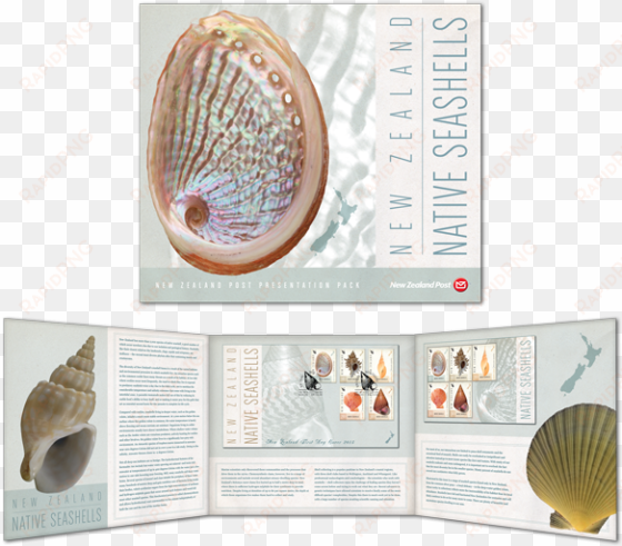 sea shells pack inside and cover - postage stamp