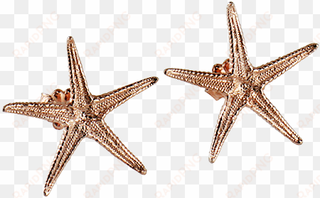sea star large stud earrings - sea star earrings