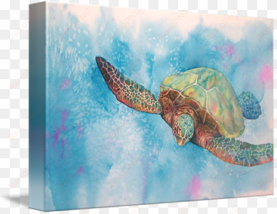 sea turtle 08 by mvlc1 sea turtle art, sea turtles, - gallery-wrapped canvas art print 16 x 11 entitled sea