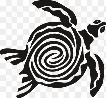 sea turtle clipart kura kura - tartaruga marinha vetor png