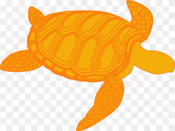 sea turtle clipart olive ridley - turtle vector png