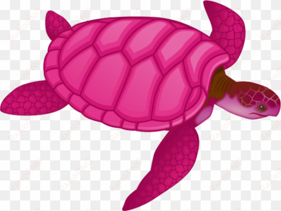 sea turtle clipart pink - sea turtle clip art
